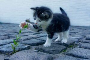 矯正中に人前で気になることへの対策は？